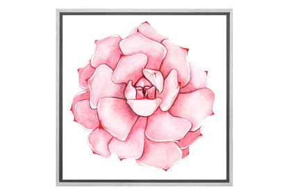 Pink Succulent Watercolour | Canvas Wall Art Print