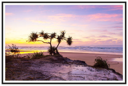 Beach scene fraser island with a tree silhouette at sunset