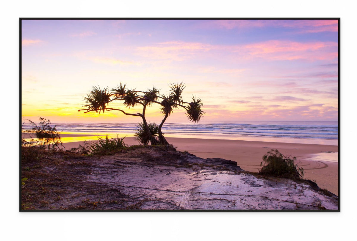 Beach scene wall art with a tree silhouette at sunset