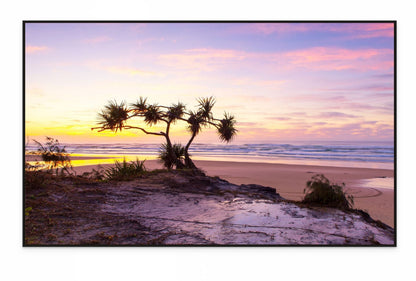 Beach scene wall art with a tree silhouette at sunset