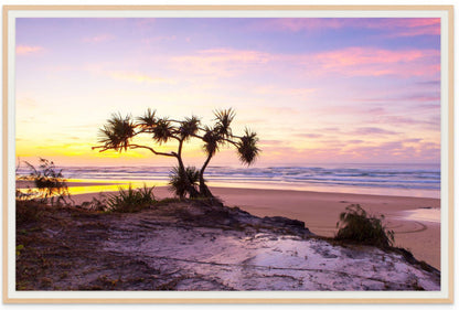 Fraser Island Beach Sunset Wall Art Print – Queensland Coastal Photography