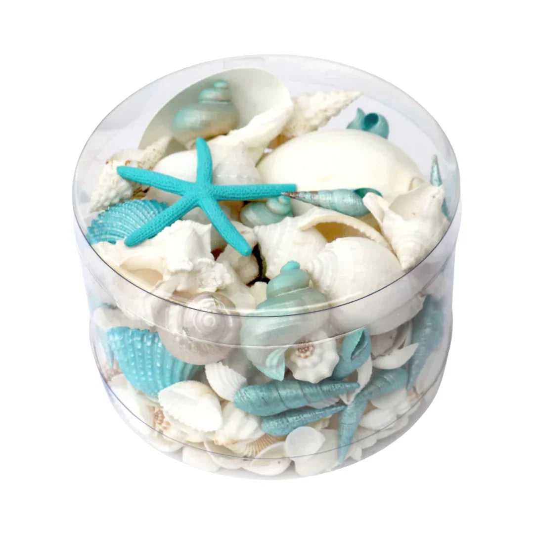 Premium Mixed Sea Shell Pack Aqua | Final Touch Decor