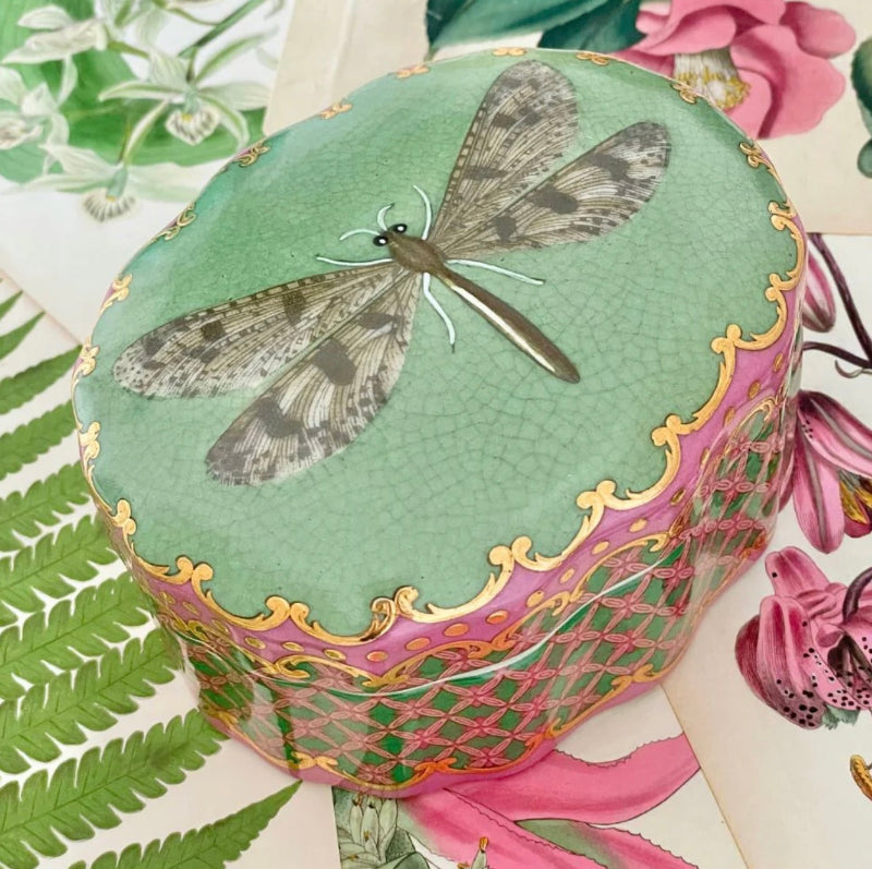 Porcelain trinket box with dragonfly design and green crackle glaze lid