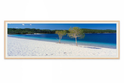 Lake McKenzie K'gari (Fraser Island) Queensland Wall Art Print
