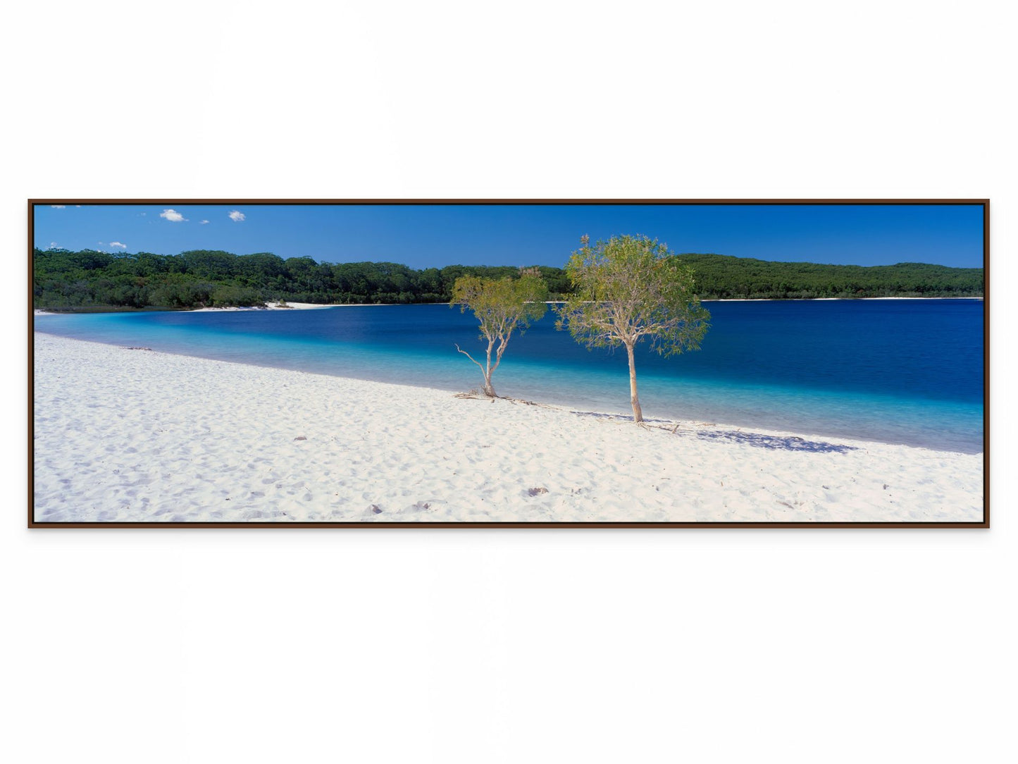 Lake McKenzie K'gari (Fraser Island) Queensland Wall Art Print