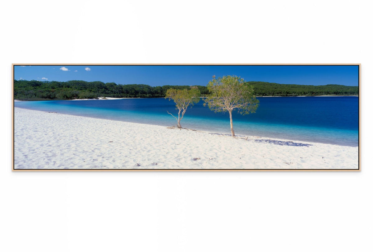 Lake McKenzie K'gari (Fraser Island) Queensland Wall Art Print