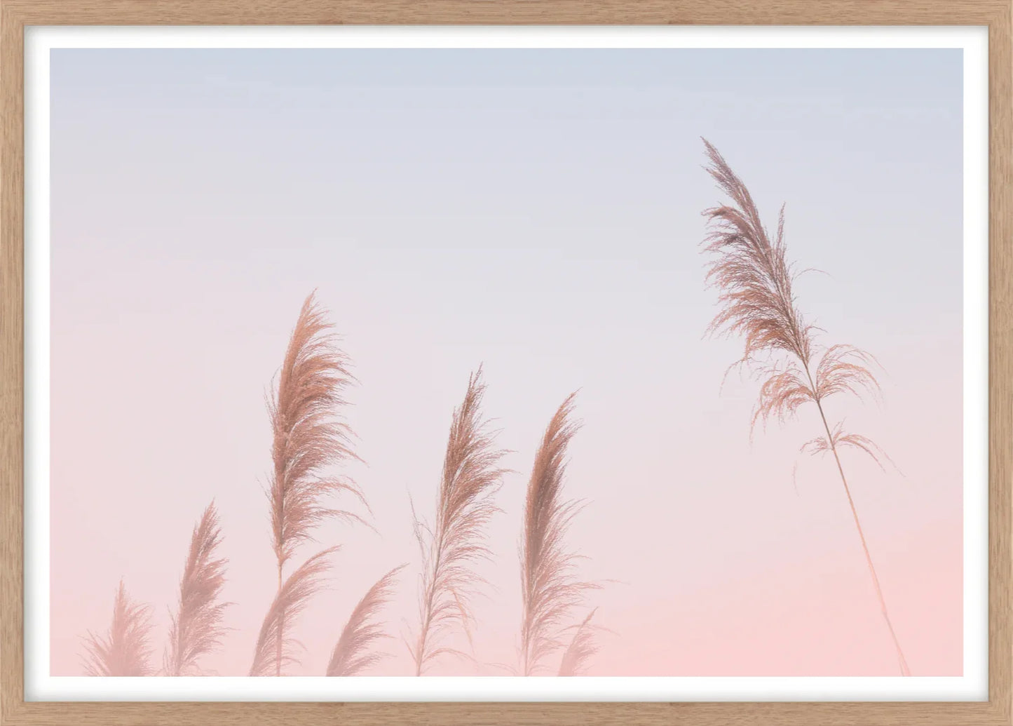 Framed artwork of pampas grass against a pink gradient sky with a wooden frame.