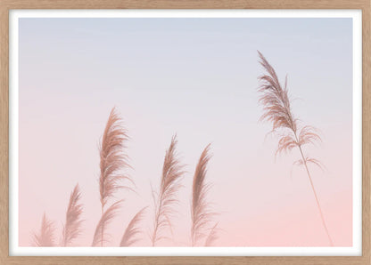 Framed artwork of pampas grass against a pink gradient sky with a wooden frame.