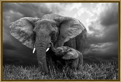 Elephant 1 | Wall Art Print