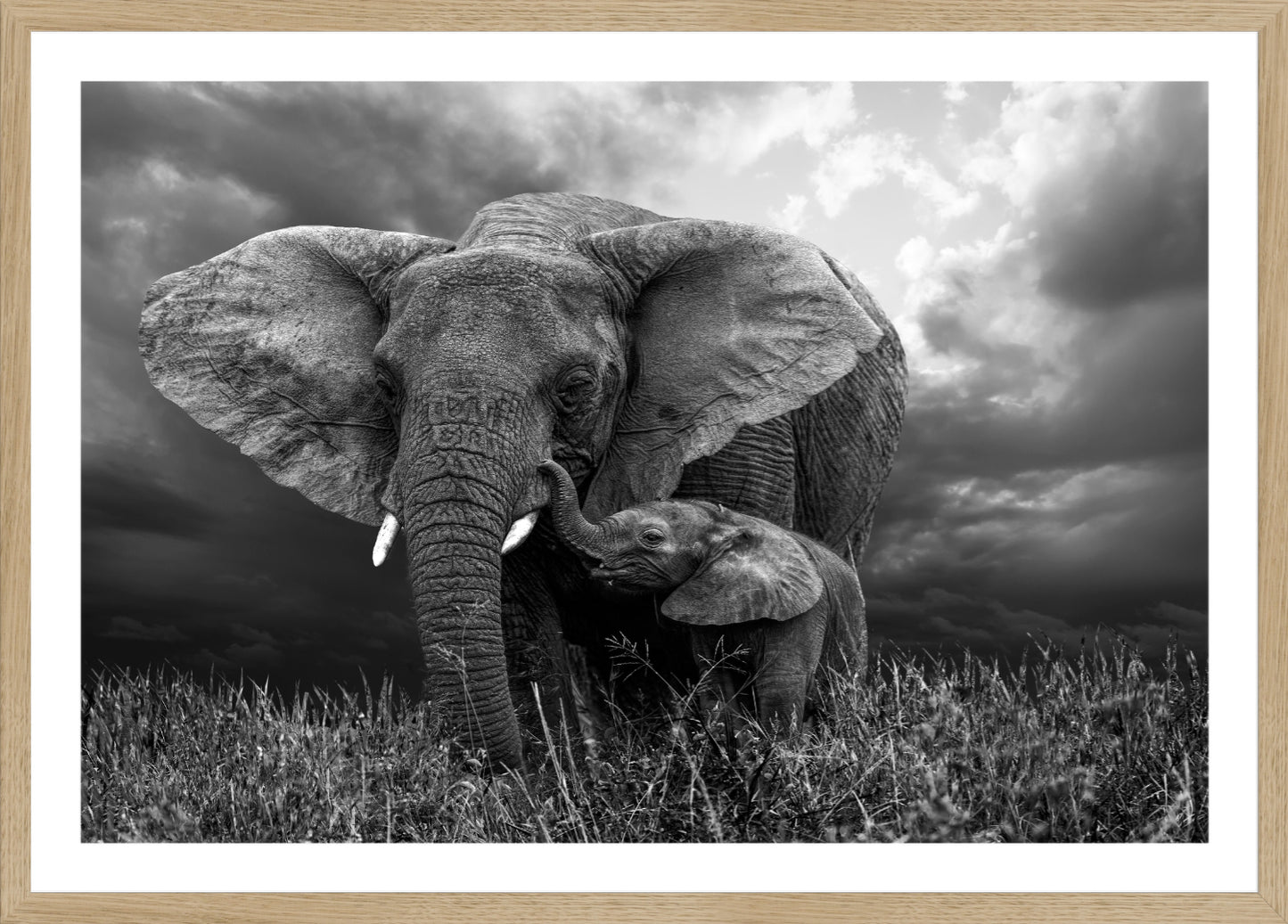 Elephant 1 | Wall Art Print