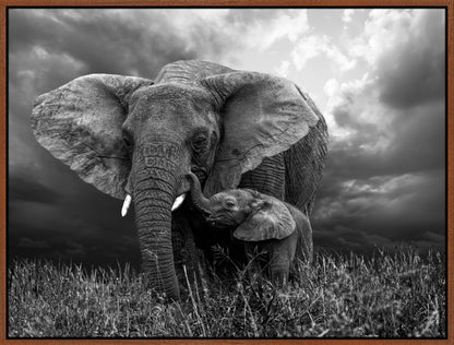 Elephant 1 | Wall Art Print