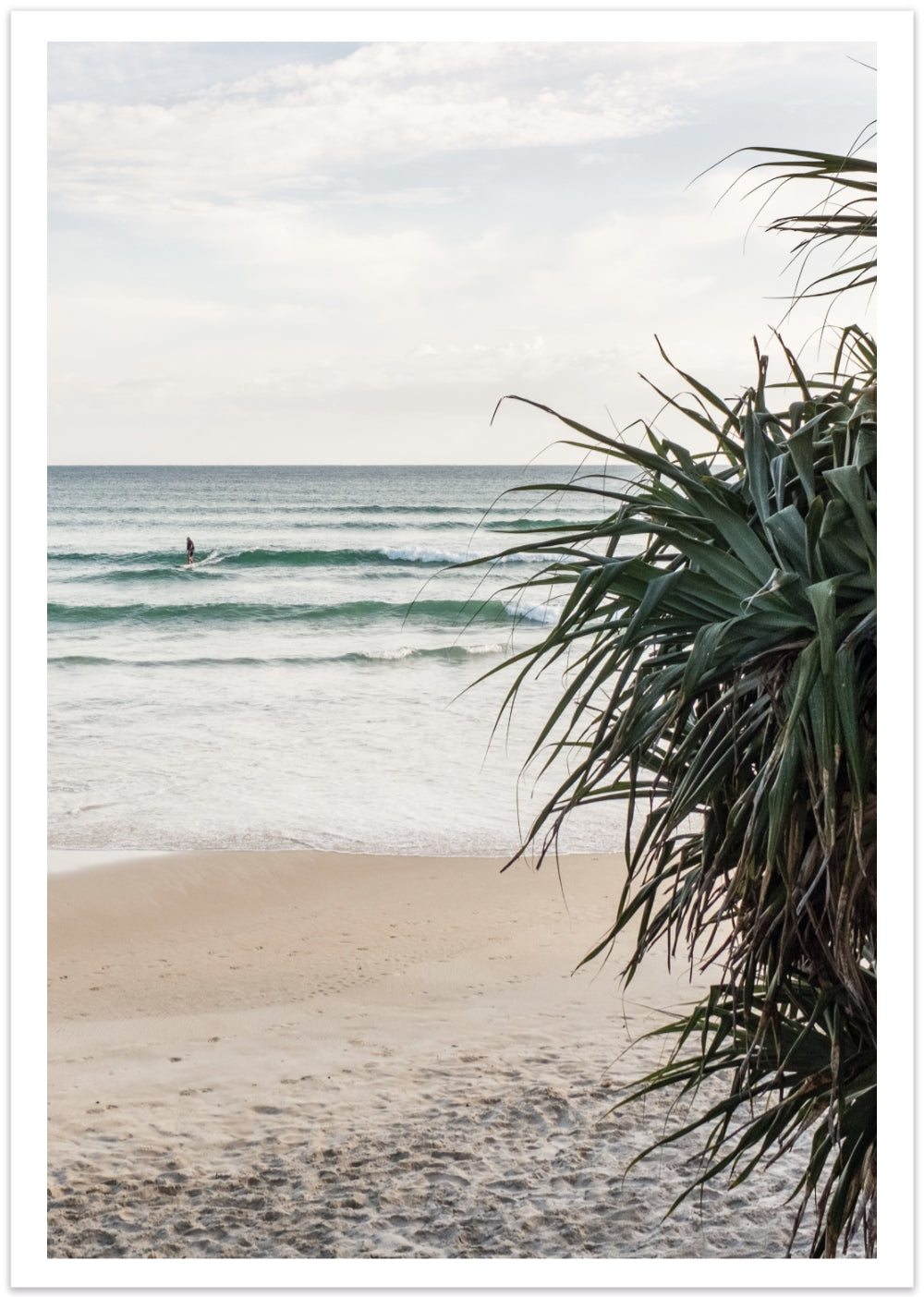 Wategos Beach Byron Bay | Coastal Wall Art Print