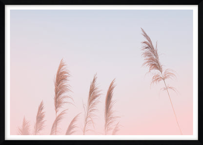 Pink Sky Pampas Grass | Boho Wall Art Print
