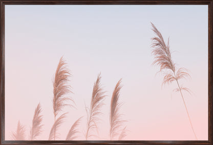 Pink Sky Pampas Grass | Boho Wall Art Print