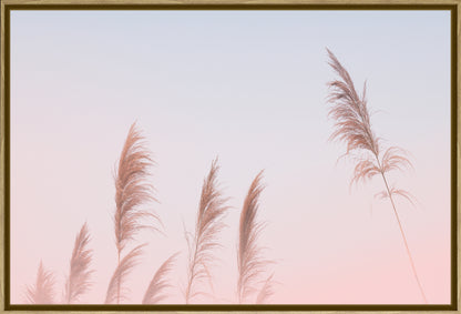 Pink Sky Pampas Grass | Boho Wall Art Print