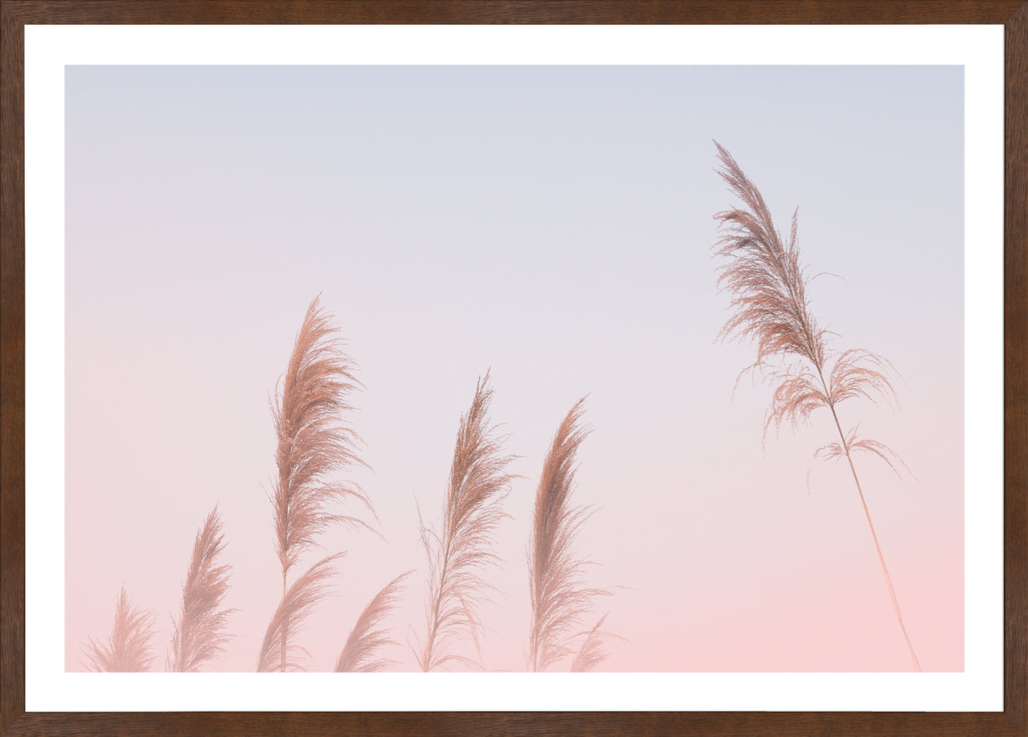 Pink Sky Pampas Grass | Boho Wall Art Print