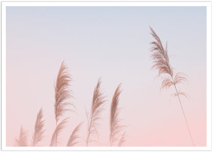 Pink Sky Pampas Grass | Boho Wall Art Print