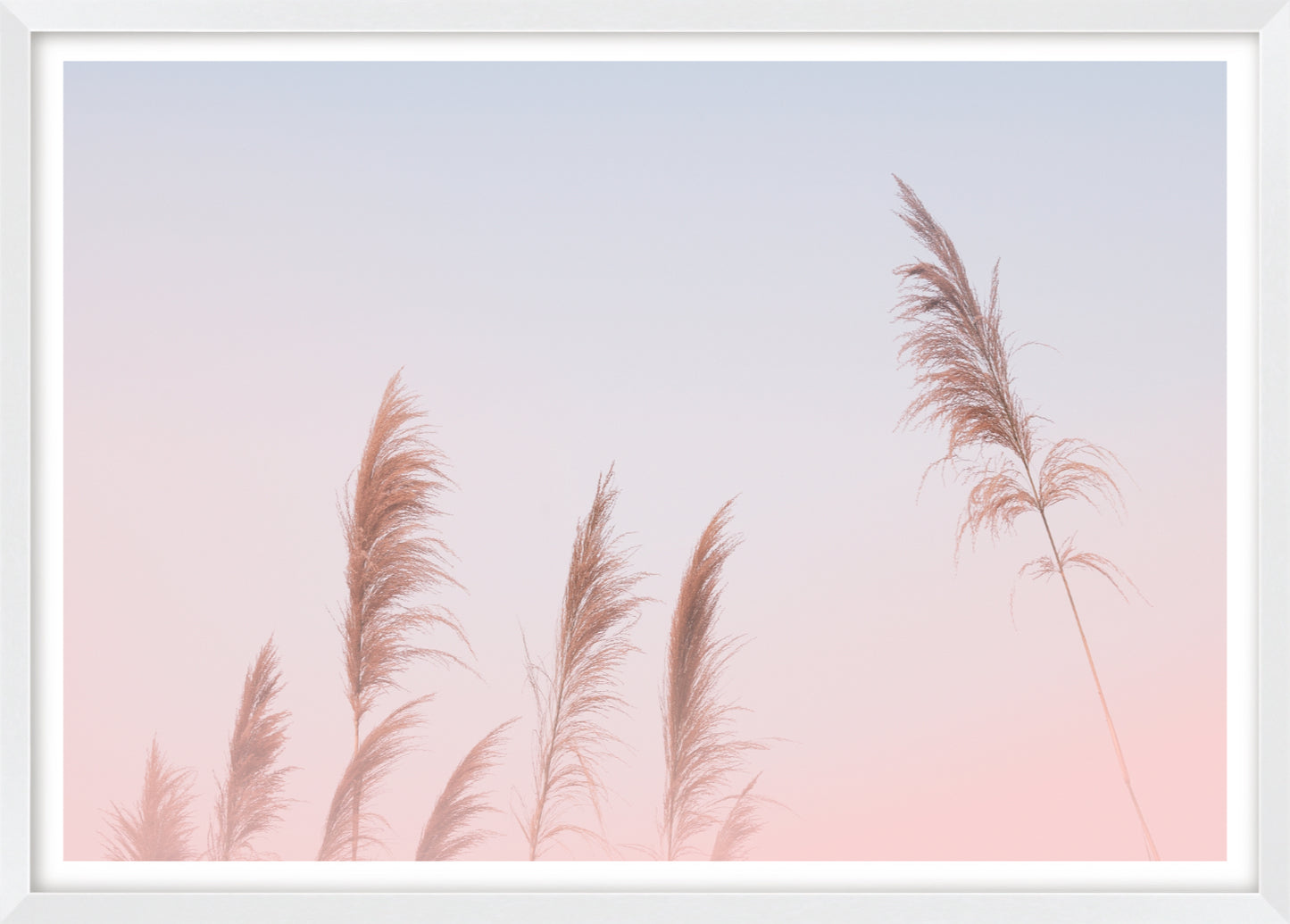 Pink Sky Pampas Grass | Boho Wall Art Print