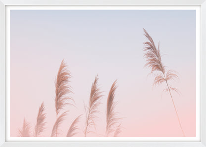 Pink Sky Pampas Grass | Boho Wall Art Print