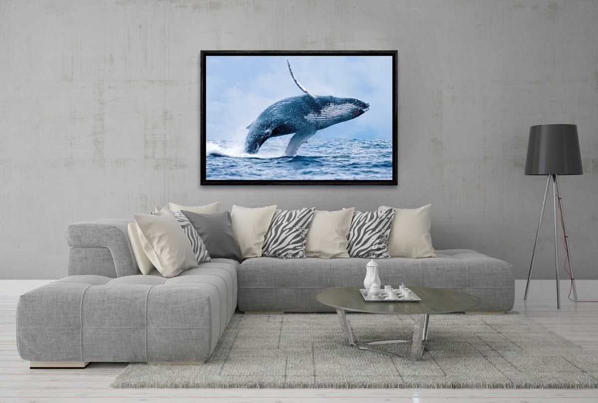 003 Living room 01