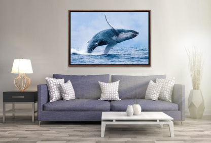 003 Living room 03