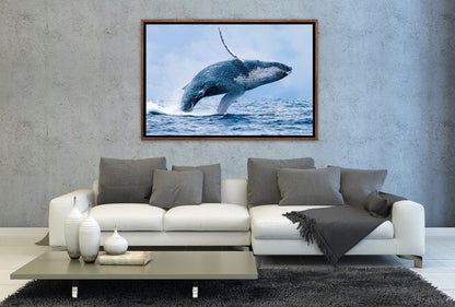 003 Living room 11