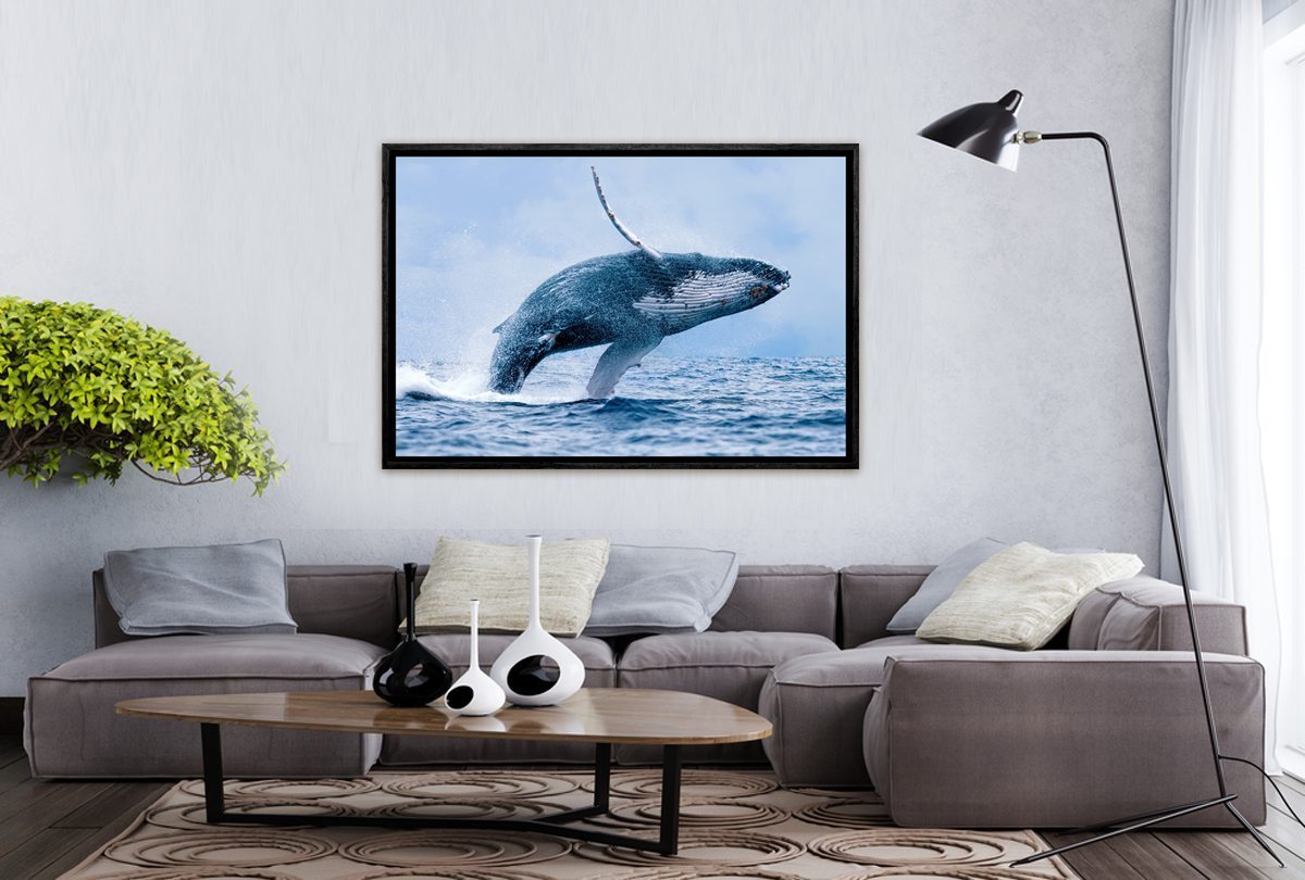 003 Living room 17