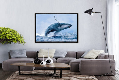 003 Living room 17
