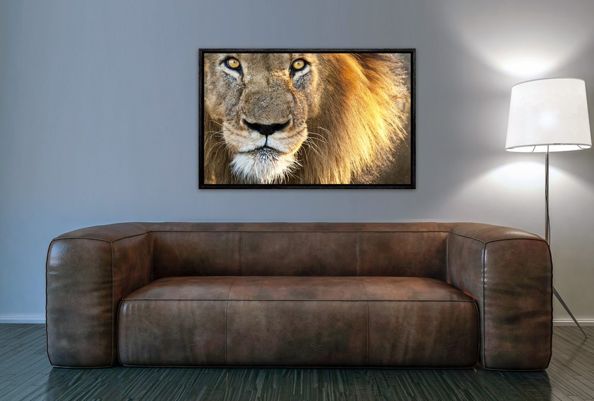 010 Living room 15
