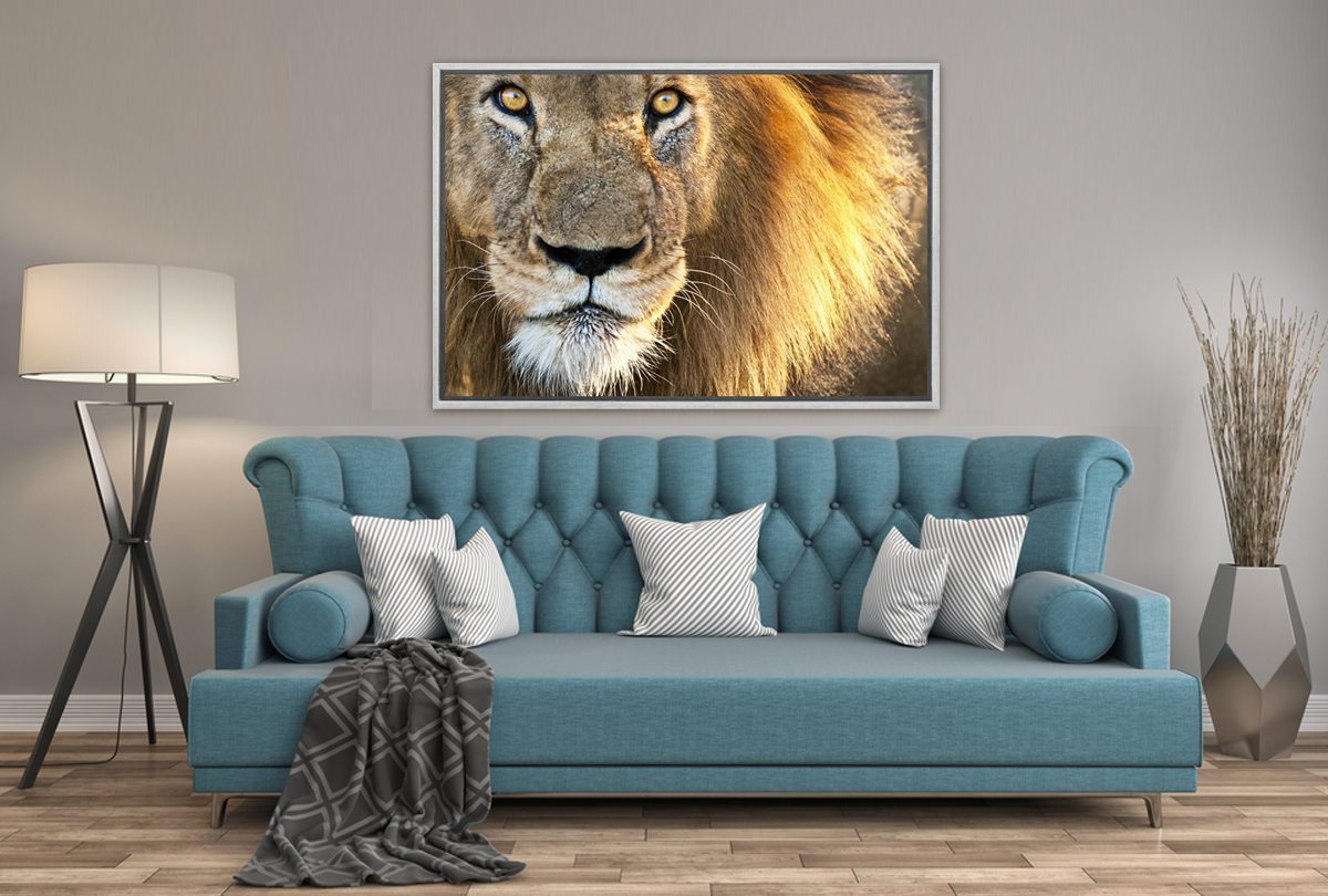010 Living room 18