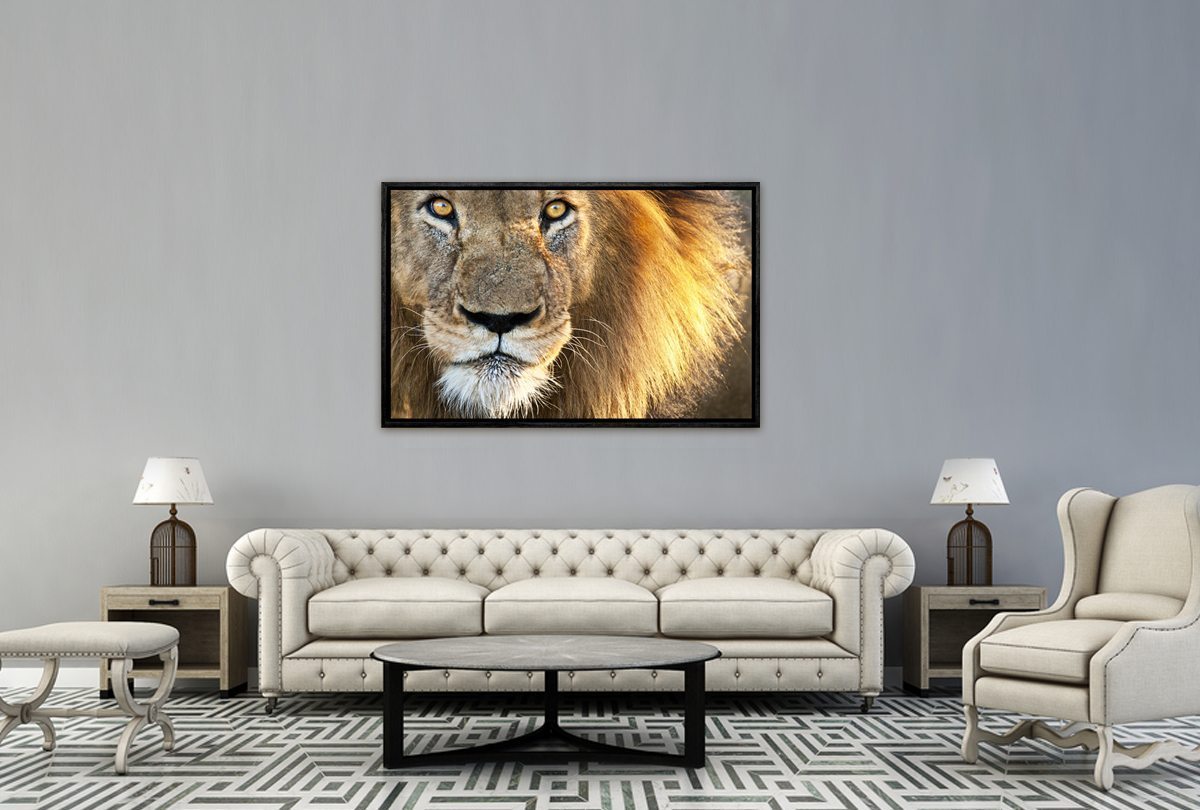 010 Living room 24