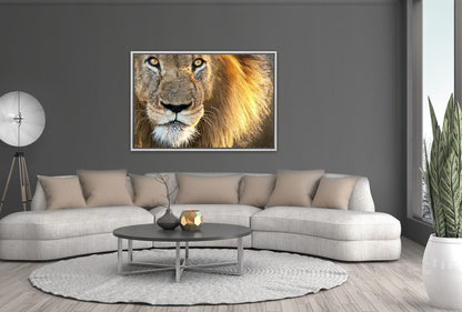 010 Living room 25