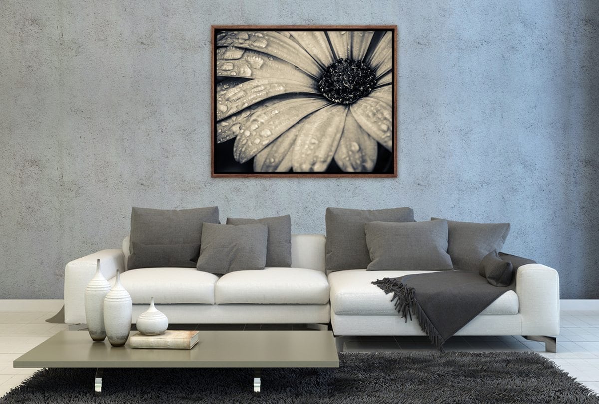024 Living room 11