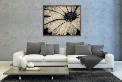 024 Living room 11