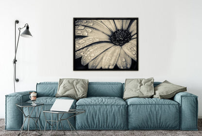 024 Living room 13