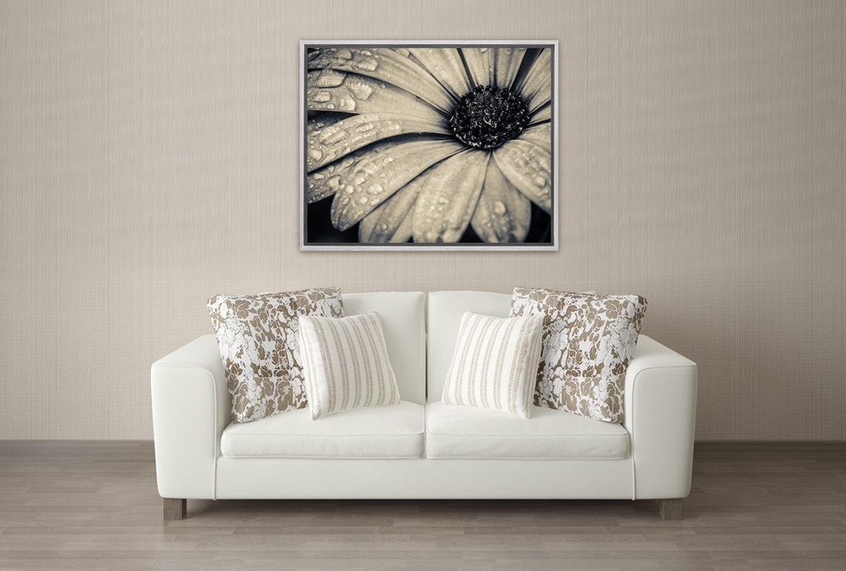 024 Living room 19