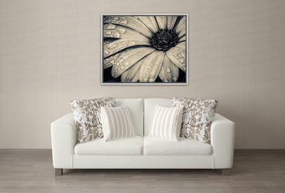024 Living room 19