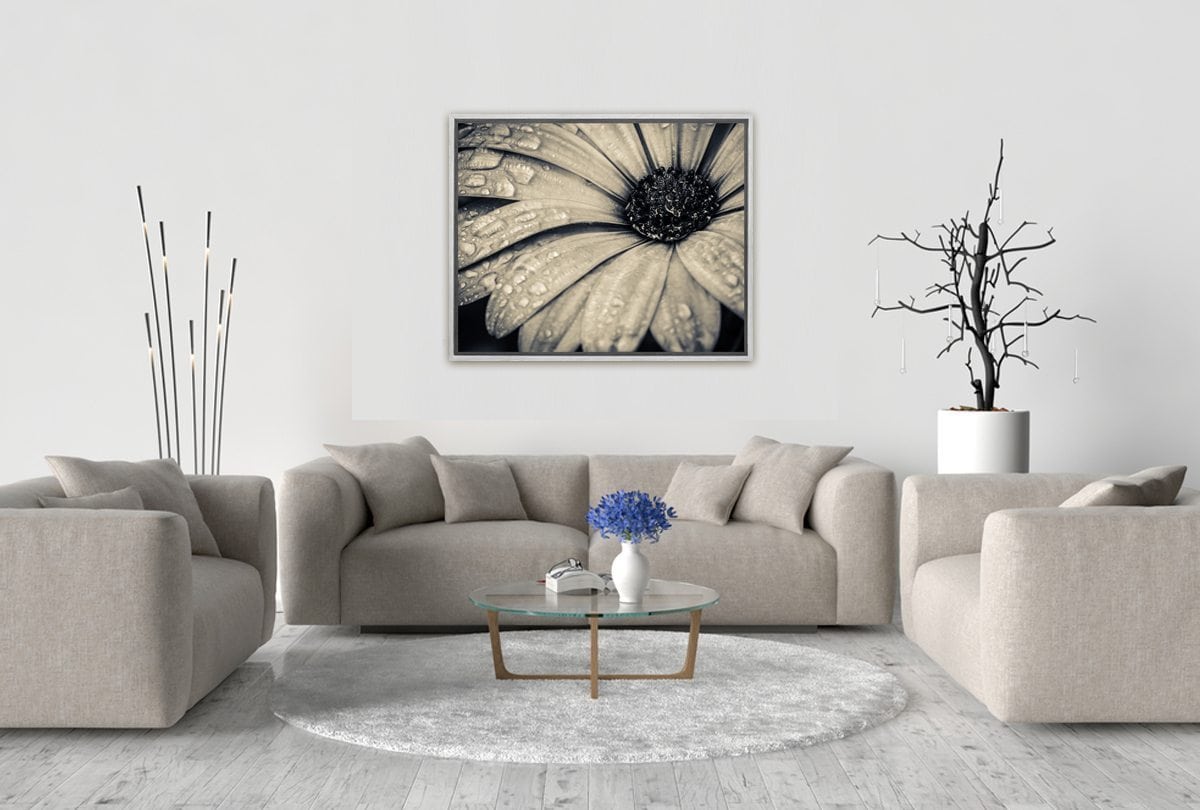 024 Living room 21