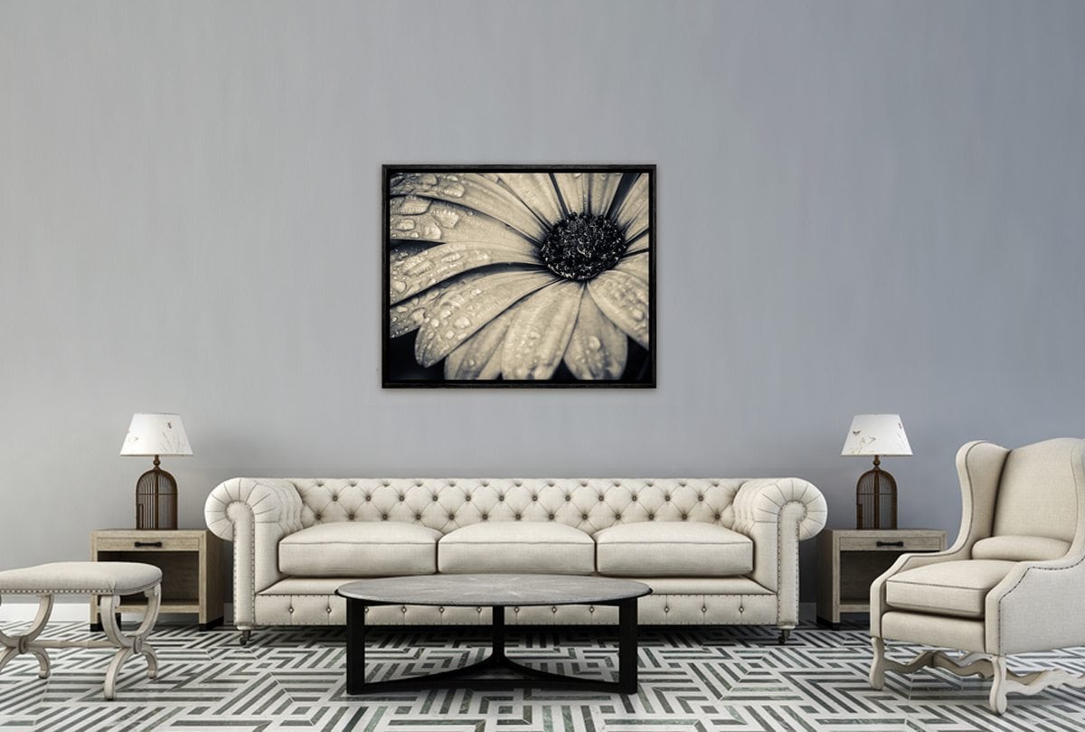 024 Living room 24