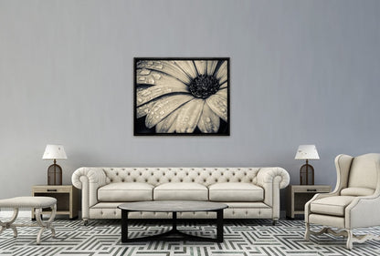 024 Living room 24