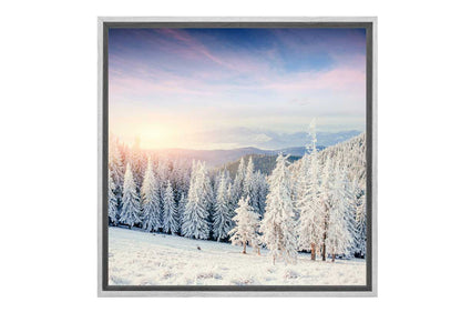 1117 white