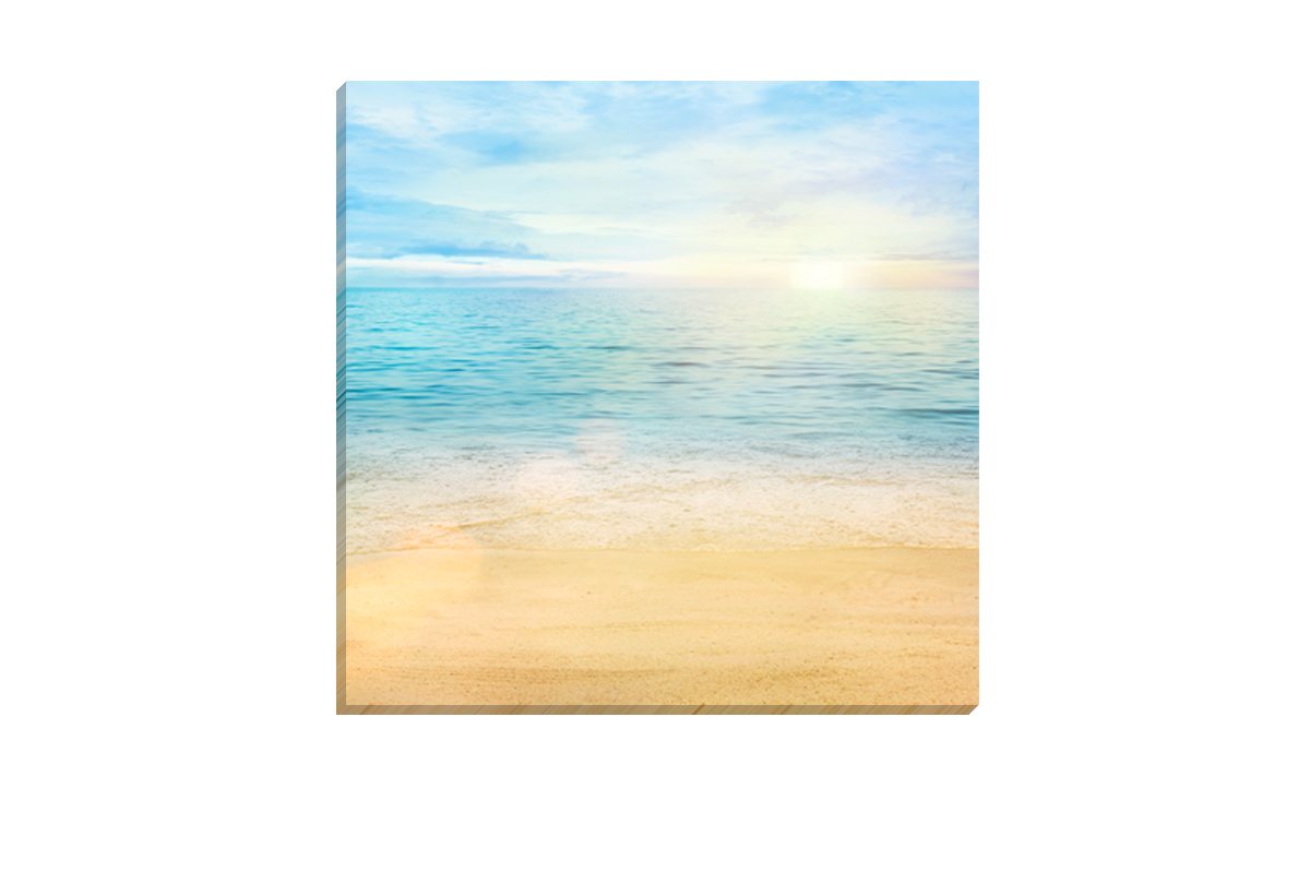 116 Canvas