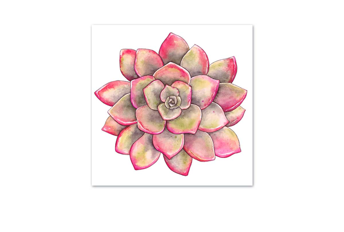 1411 Acrylic