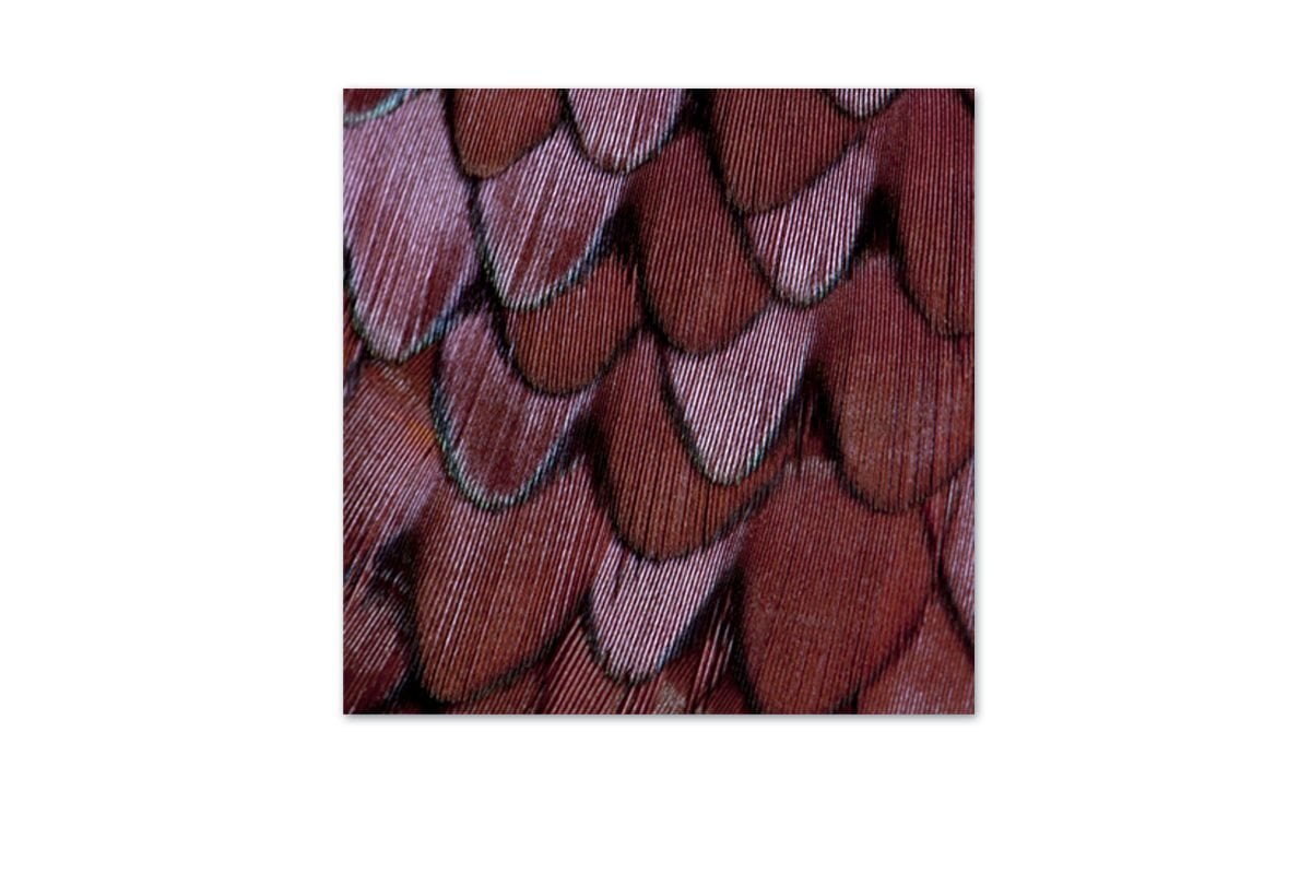 150 Acrylic