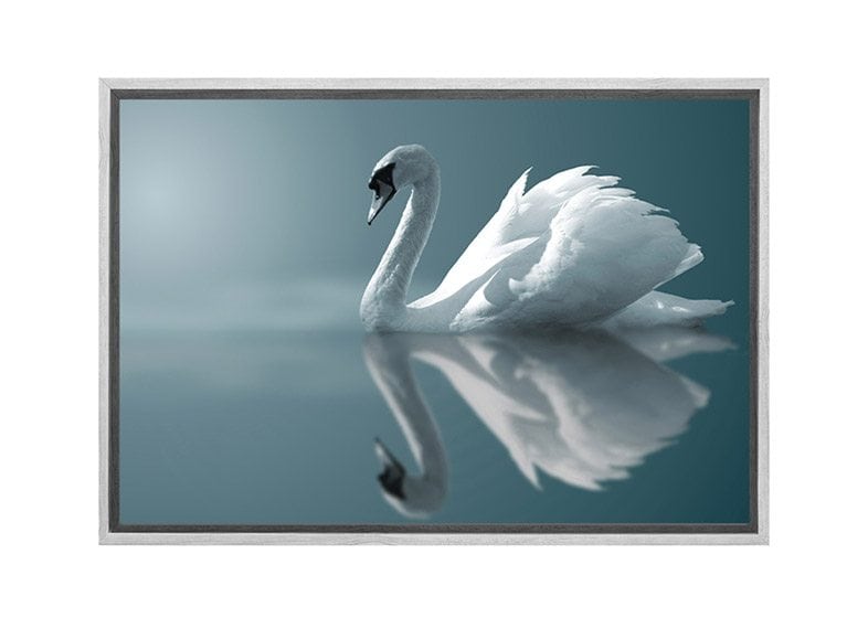 170 white 1