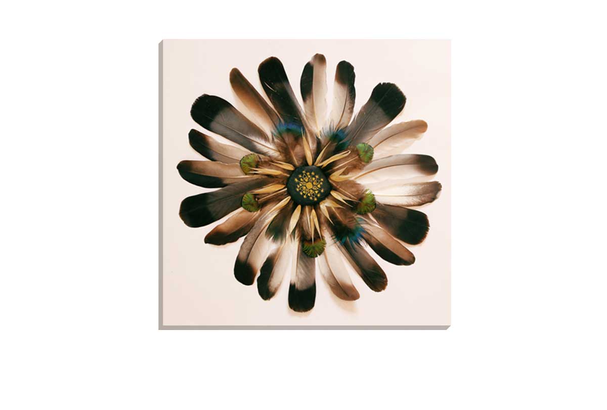 2009 Canvas