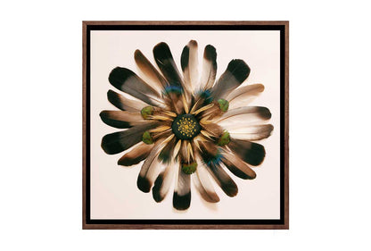 2009 brown