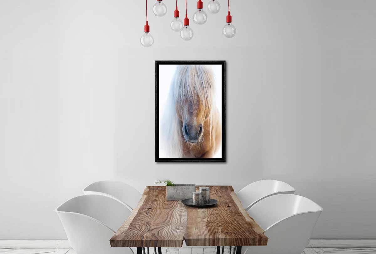 Palomino | Canvas Art Print - Final Touch Decor