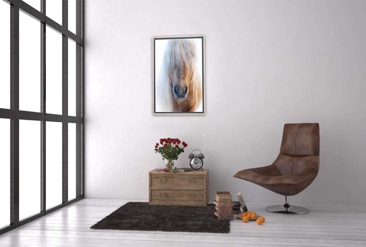 Palomino | Canvas Art Print - Final Touch Decor