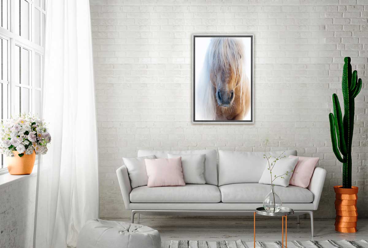 Palomino | Canvas Art Print - Final Touch Decor